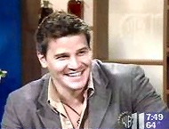 ++ David Boreanaz ++