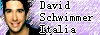 = David Schwimmer Italia =