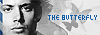 = the butterfly =