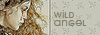 = wild angel =