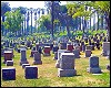 ++ rosedale cemetery ++
