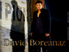 david boreanaz
