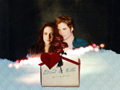  edward & bella | twilight