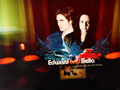  edward & bella | twilight