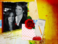  edward & bella | twilight