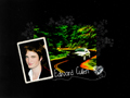  edward cullen | twilight series