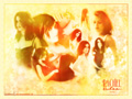  the oc 
 rachel bilson